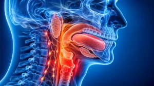 Baş ve boyun bölgesindeki ağız, dil, yutak, gırtlak ve lenf düğümlerini gösteren anatomik illüstrasyon